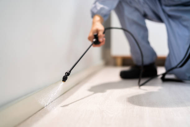 Licensed Fumigation Services service in Petaluma, CA - Nex Pest Control