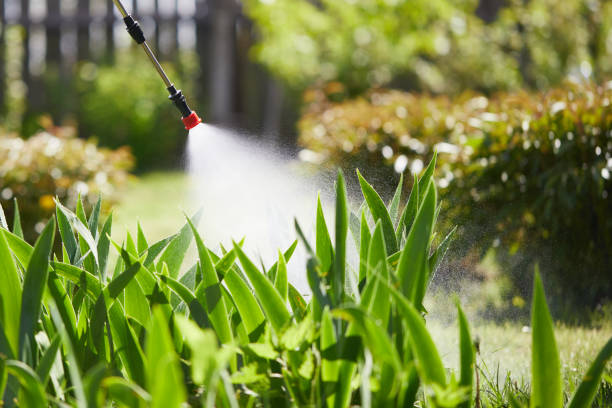 24/7 Emergency Fumigation Services experts in Petaluma, CA