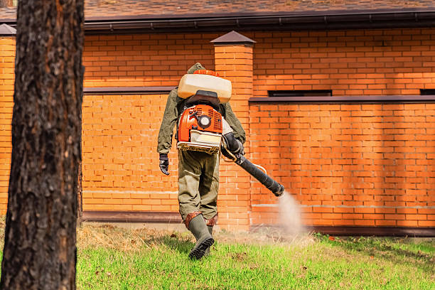 Top rated local Fumigation Services specialists in Petaluma, CA